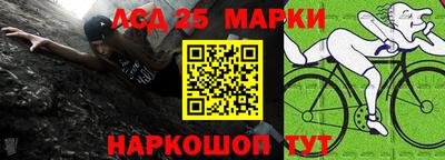 шишки Кимры