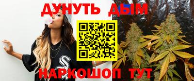 шишки Кимры