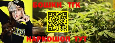 твердый Кингисепп