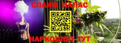 шишки Кимры