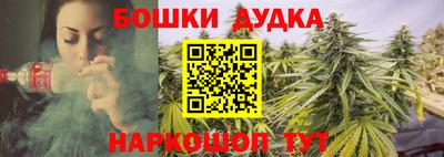 твердый Кингисепп