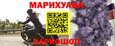 шишки Кимры