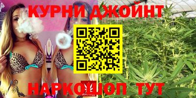 шишки Кимры