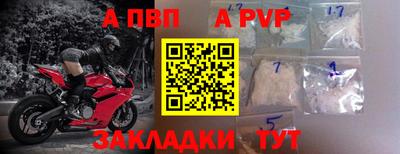 твердый Кингисепп