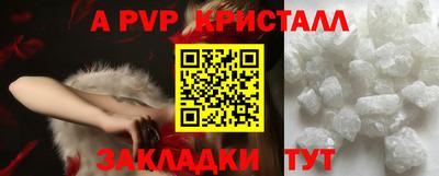 твердый Кингисепп