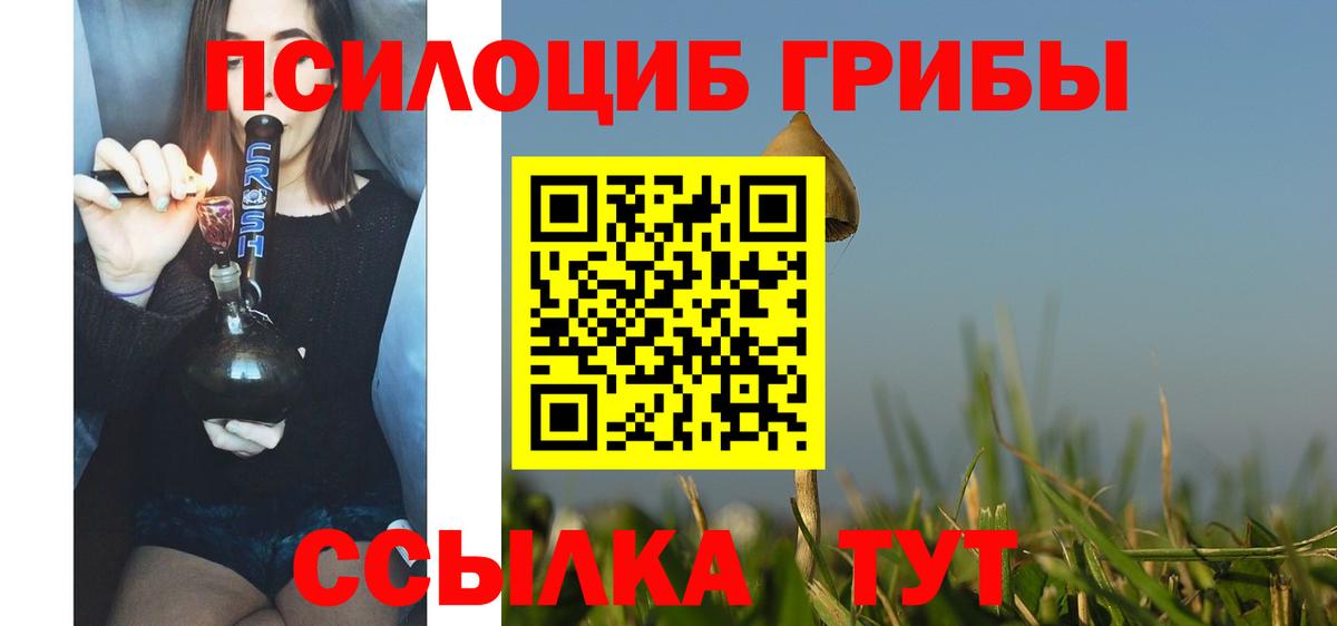 Грязи  наркошоп  Вход с VPN  Псилоцибиновые грибы Psilocybe  Галлюциногенные грибы мицелий 